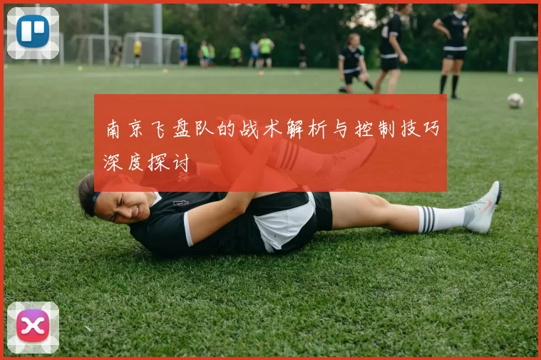 南京飞盘队的战术解析与控制技巧深度探讨