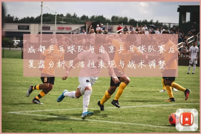 成都乒乓球队与南京乒乓球队赛后复盘分析灵活性表现与战术调整