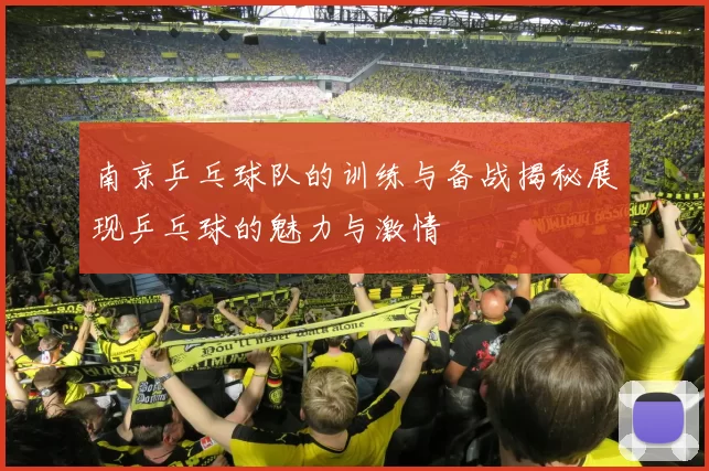 南京乒乓球队的训练与备战揭秘展现乒乓球的魅力与激情