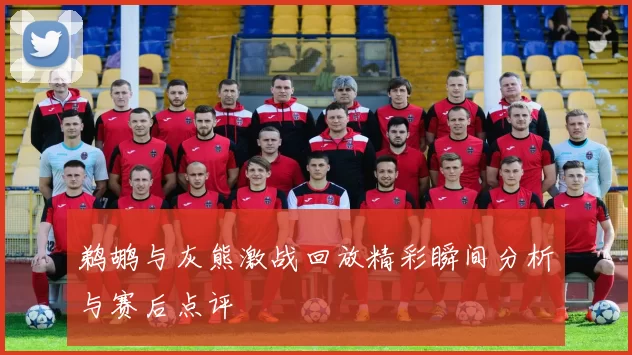 鹈鹕与灰熊激战回放精彩瞬间分析与赛后点评