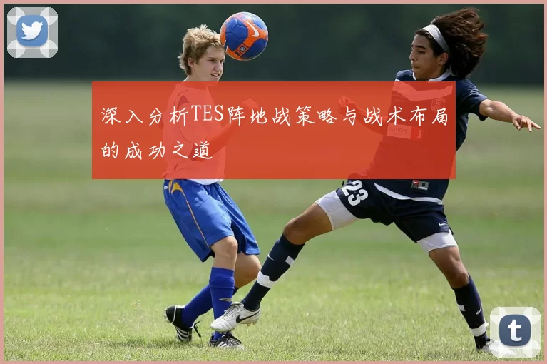 深入分析TES阵地战策略与战术布局的成功之道