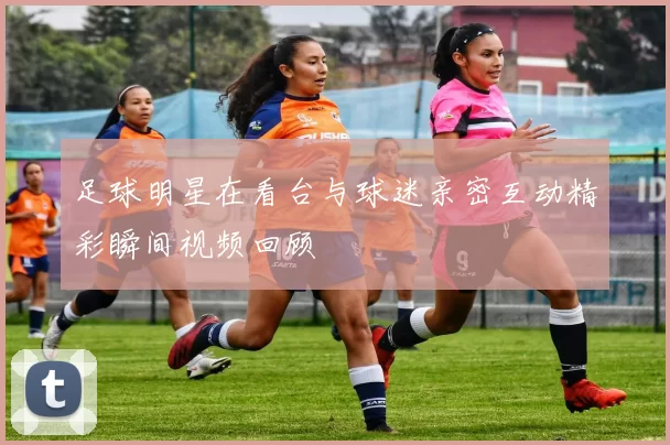 足球明星在看台与球迷亲密互动精彩瞬间视频回顾