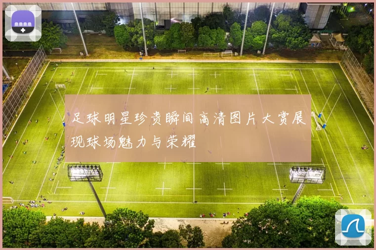 足球明星珍贵瞬间高清图片大赏展现球场魅力与荣耀