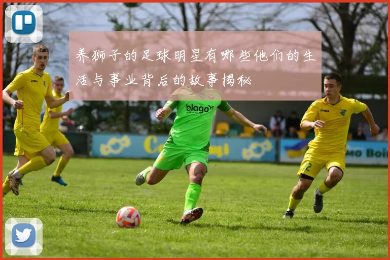 养狮子的足球明星有哪些他们的生活与事业背后的故事揭秘