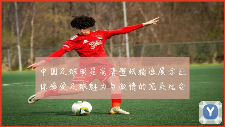 中国足球明星高清壁纸精选展示让你感受足球魅力与激情的完美结合