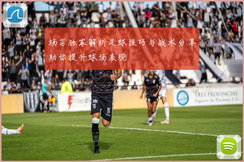 杨芳独家解析足球技巧与战术分享助你提升球场表现
