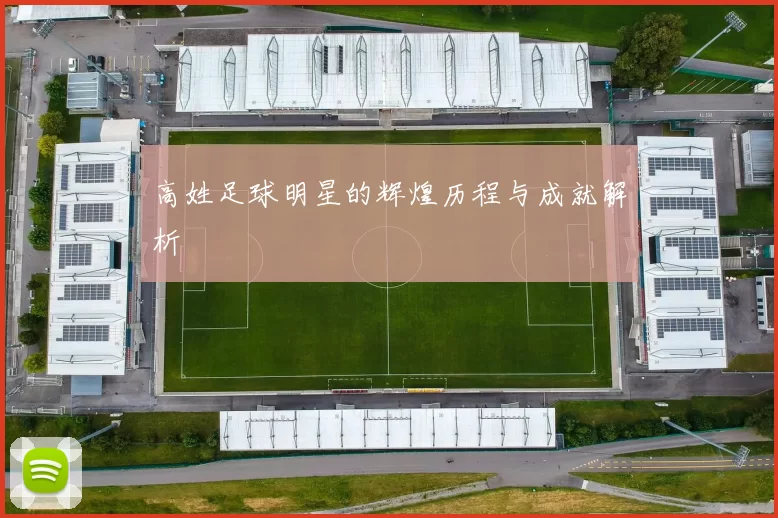 高姓足球明星的辉煌历程与成就解析